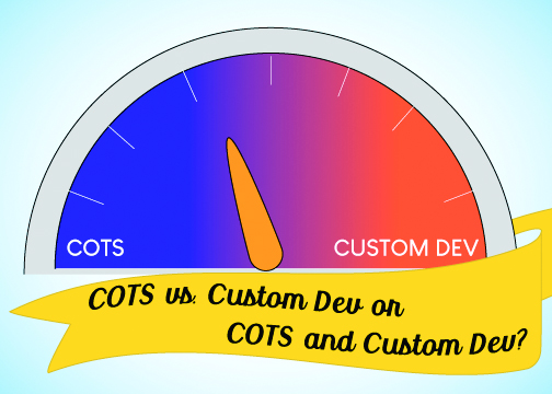 COTS vs Custom meter